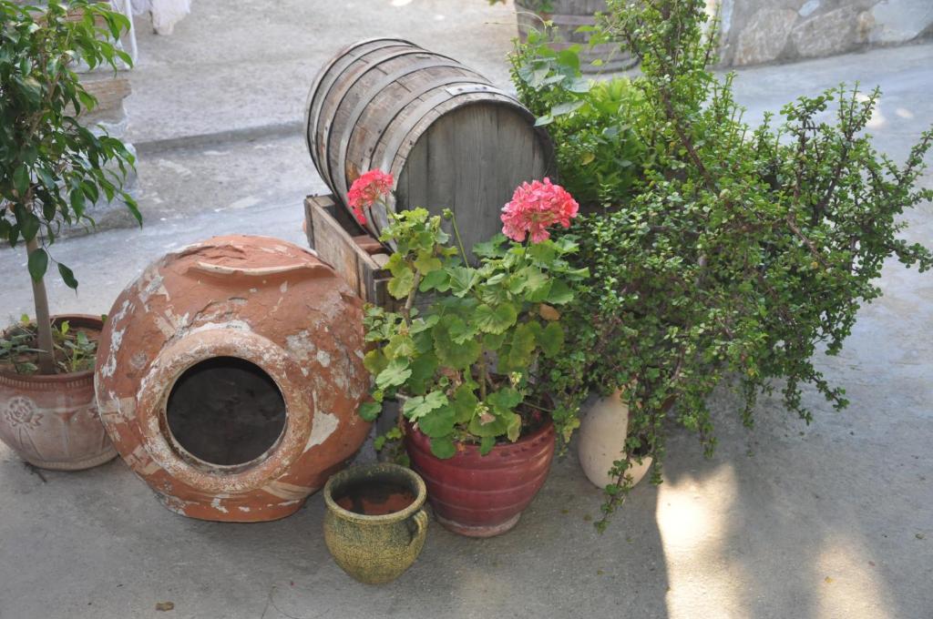 ホテル Petrino Ambrami エクステリア 写真